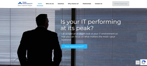 Peake Performance IT cloud and IT services in Newmarket: homepage