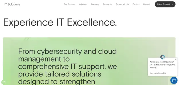 PACE Technical IT Solutions Markham homepage