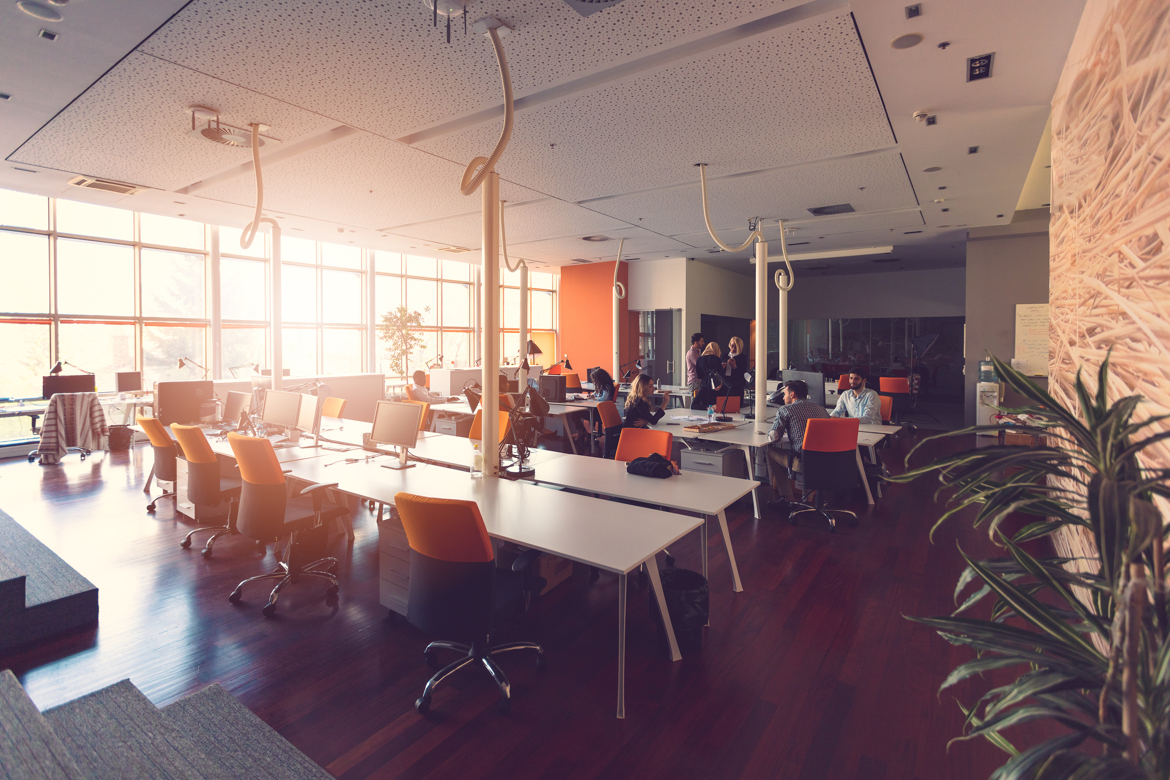 Professional services team working at laptops in a modern open office, supported by managed IT