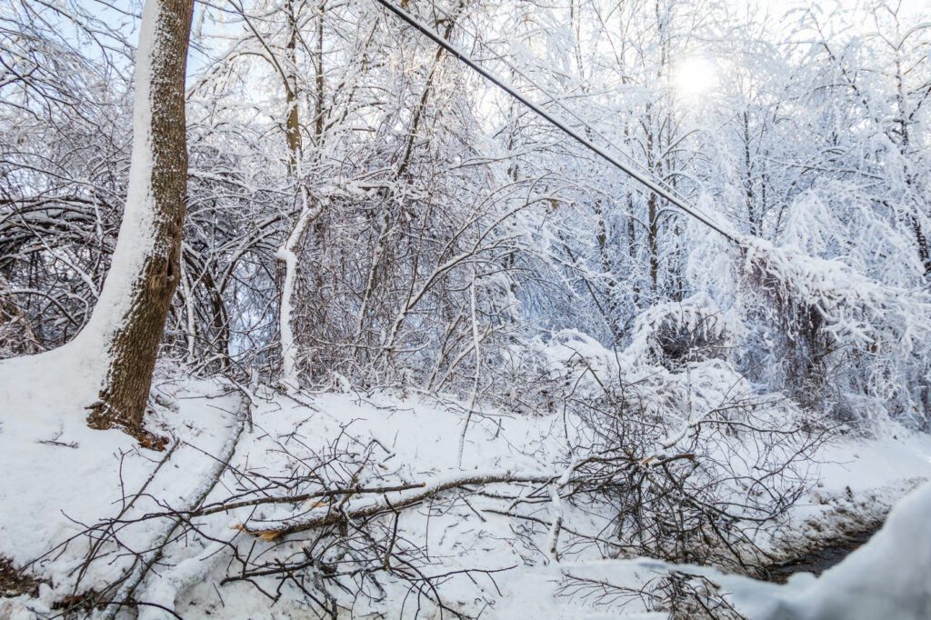 Power lines brought down by ice and snow during a winter storm, the kind of outage a business continuity plan has to survive