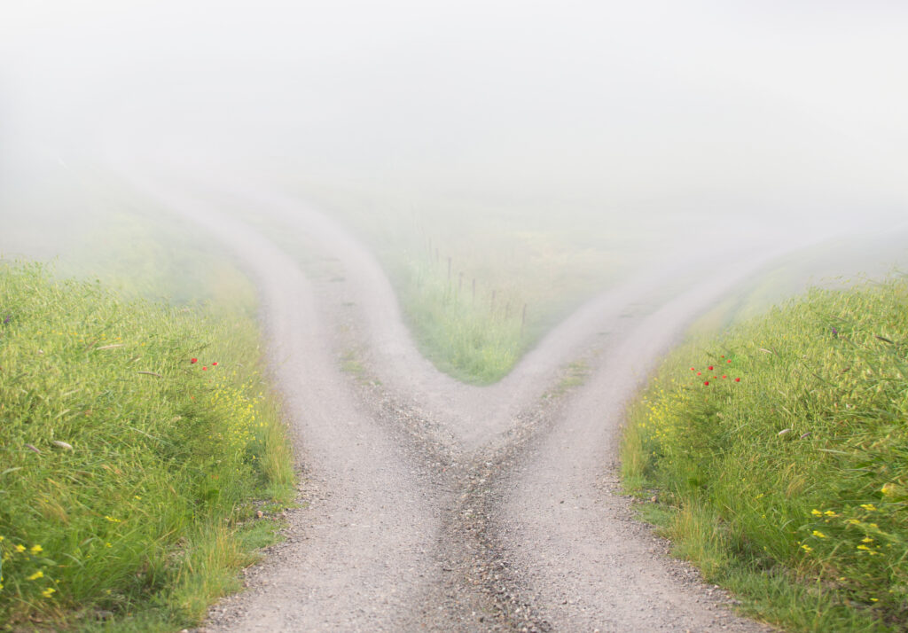 Road splitting in two directions, representing the choice between a flexible and a locked-in managed IT contract