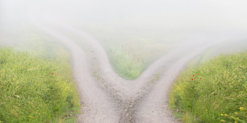 Road splitting in two directions, representing the choice between a flexible and a locked-in managed IT contract