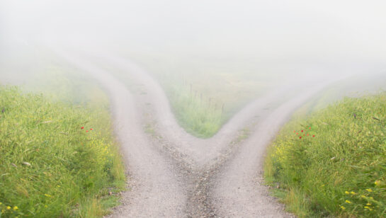 Road splitting in two directions, representing the choice between a flexible and a locked-in managed IT contract