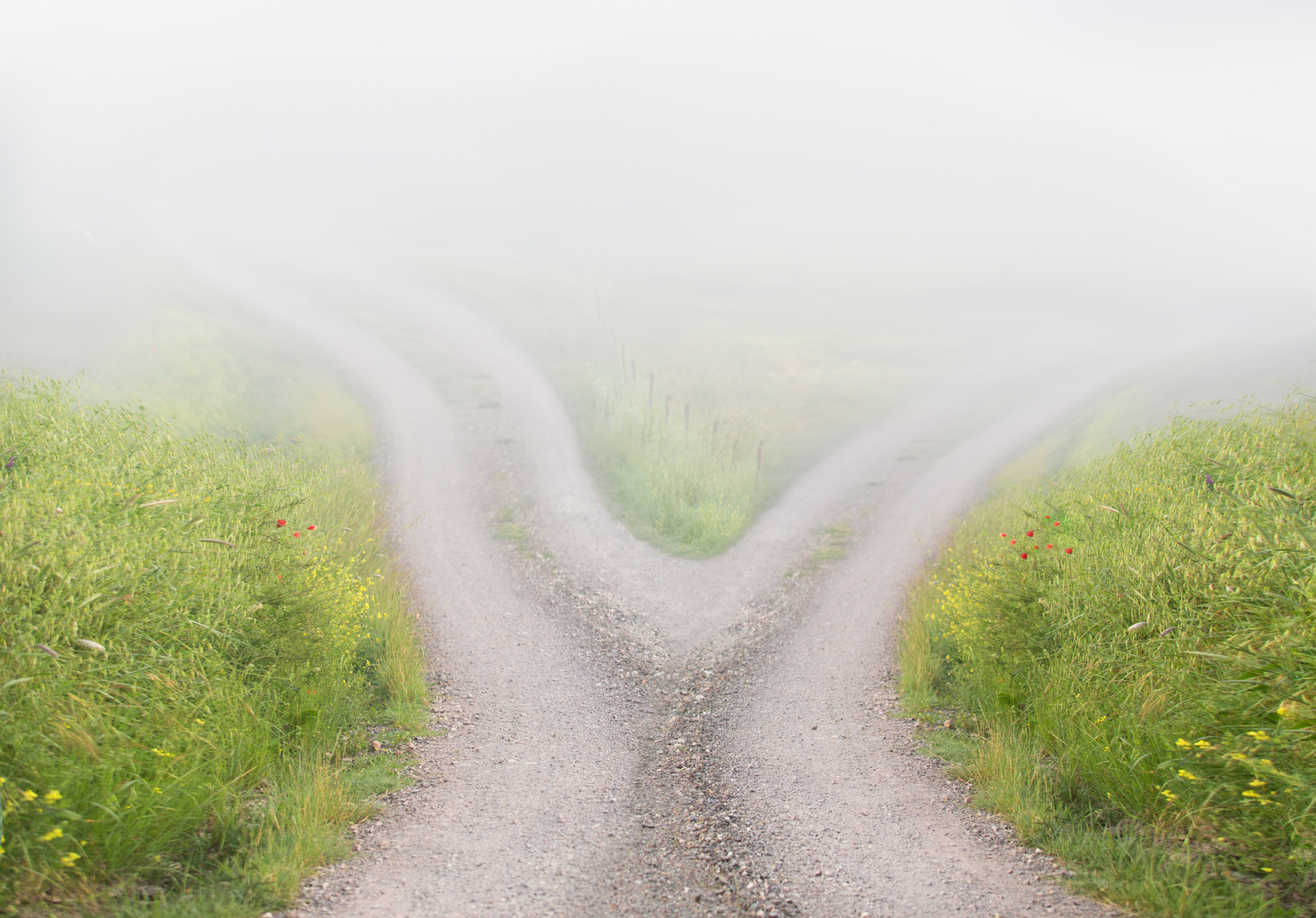 Road splitting in two directions, representing the choice between a flexible and a locked-in managed IT contract