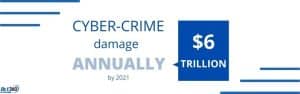 Cyber Crime Damage